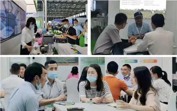 ʲչڶʮũûѧƷֲչ