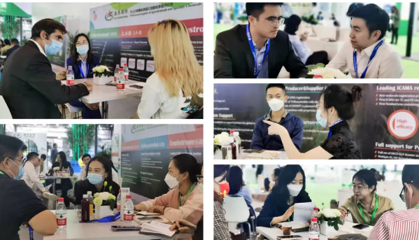 𾢼ACEչ2021ACE칩Ӧ