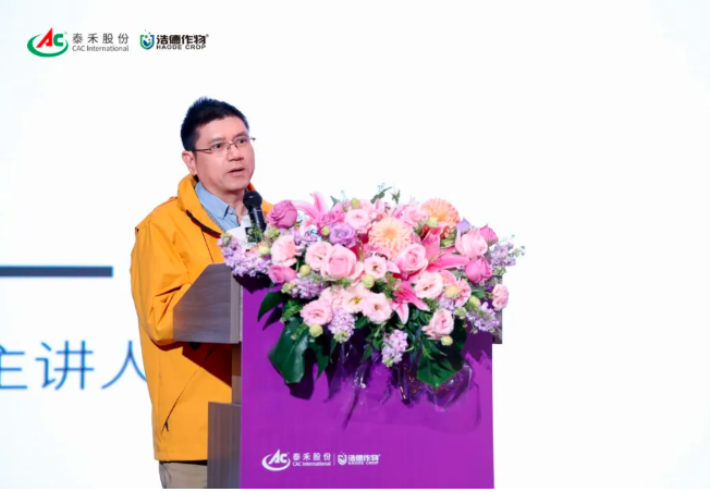 1768729087845997.png image.png