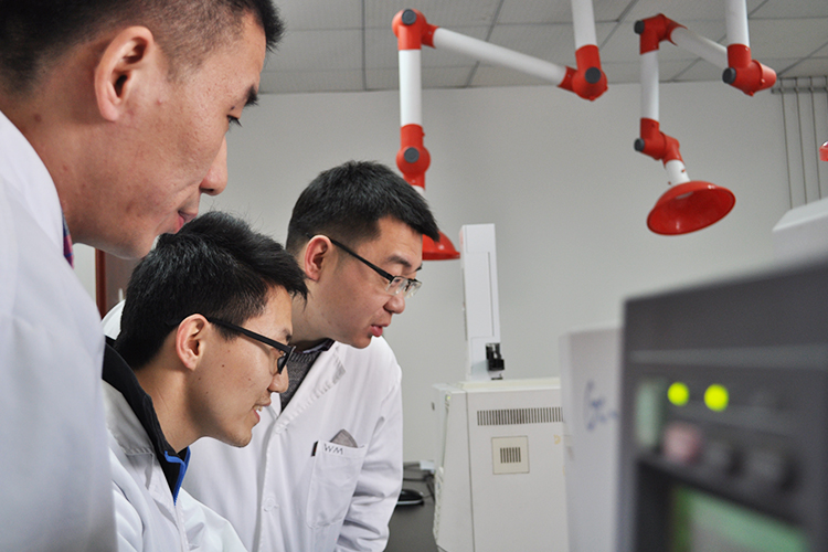 1539255439853300.jpg 各人庭3.jpg