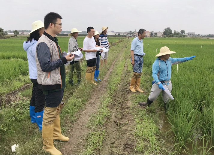 1597299007125424.png 晓明自主立异杀虫剂.png