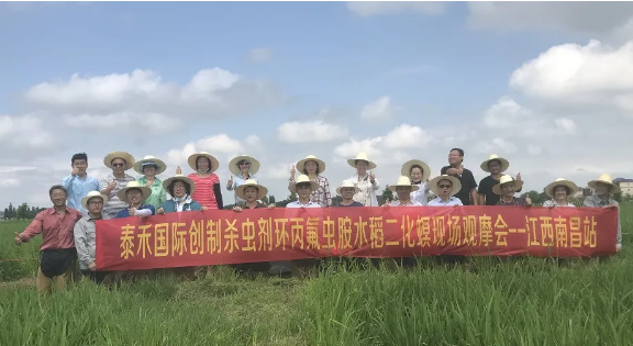 1625560234526606.png 1625560163(1).png